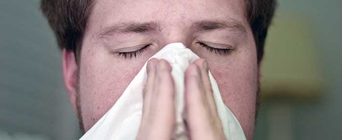 A levegő káros anyag tartalma allergiát is okozhat
