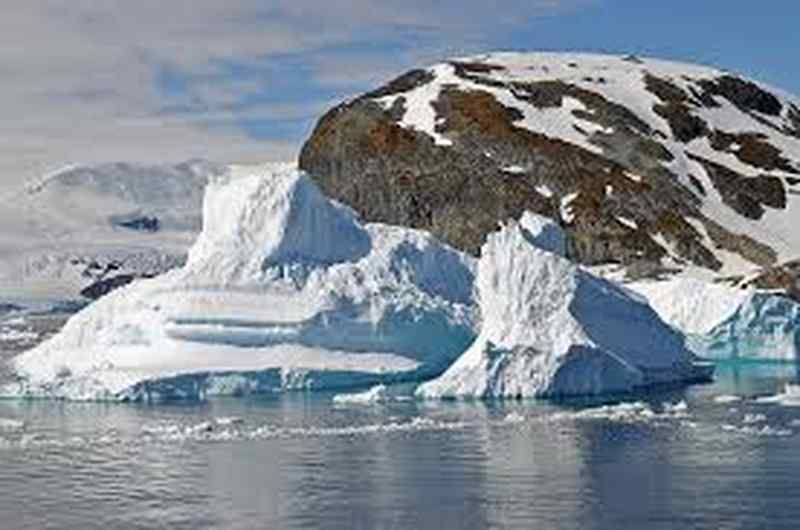 Új mohafajt fedeztek fel az Antarktiszon