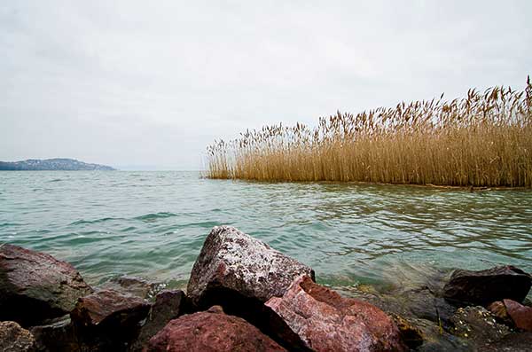 A lehűlés megállította az algák szaporodását a Balatonban