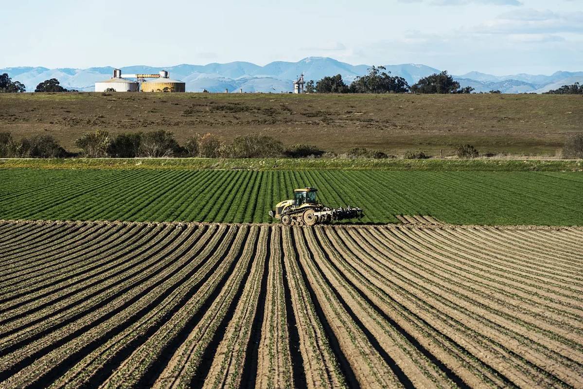 Klímapolitikai Intézet: a sikeres mezőgazdaság jövője a digitalizáció és a robotizáció